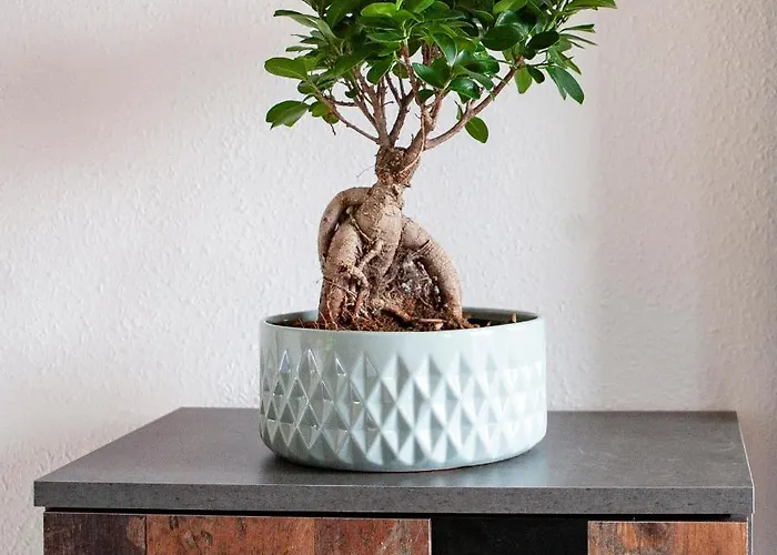 Von Schivelbusch Markkleeberg